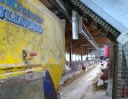Milchviehstall in Aubing mit Kühen und Fütterungsroboter