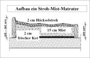 Schemazeichnung