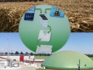 Fotocollage aus drei Bildern: schematische Darstellung der Modellentwicklung zur Abbaukinetik, Maisfeld nach der Ernte, Biogasanlage.