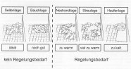 Darstellung zum Liegeverhalten von Ferkeln (Baey-Ernsten, 1996)