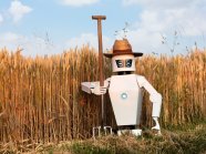 Zeichnung eines Roboters vor einem Feld