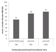 Säulendiagramm Anteil abgeheilter Wunden nach Ohrmarkenposition