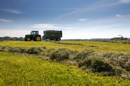 Ein Ladewagen auf Grünland