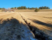 Landwirtschaftlich genutzte Moorfläche mit Entwässerungsgraben.