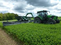 Traktor bei der Ernte von Luzernespitzen