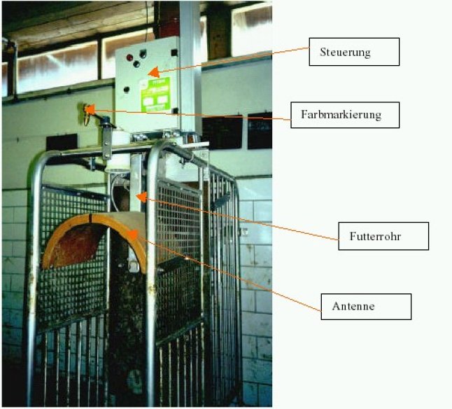 Ansicht der Breinuckelstation am Lfl-Versuchsbetrieb: Seitliche Abtrennung über Metallgitter, orange Antenne (halbes nach unten offenes Rohr); von oben kommt das metallfarbene Futterrohr; am oberen Ende befindet sich eine Vorrichtung zur Farbmarkierung; der Steuerungskasten ist an der Wand über der Station angebracht