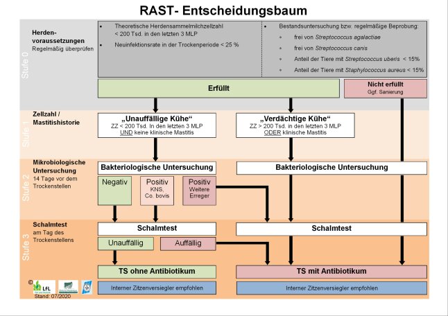 Schematische Darstellung des Entscheidungsbaums im Projekt RAST