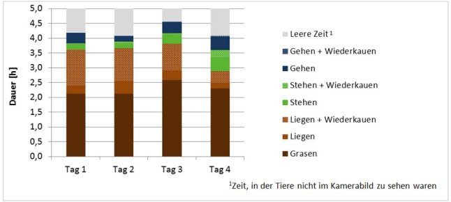 Säulendiagramm mit Ergebnissen des Tierverhaltens aus der Tierbeobachtung.