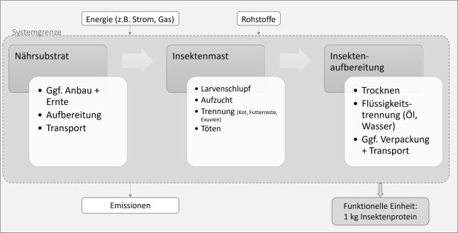 Schematische Darstellung des Produktionssystems von Proteinfutter aus Insektenlarven.