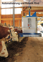 Braun-Weiße Rinder bekommen eine Futtermischung von einem silbernen automatischem Fütterungssystem vorgelegt