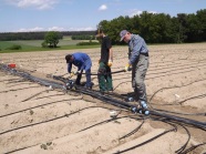 Personen beim Aufbau von Versuchsparzellen zur Tropfbewässerung