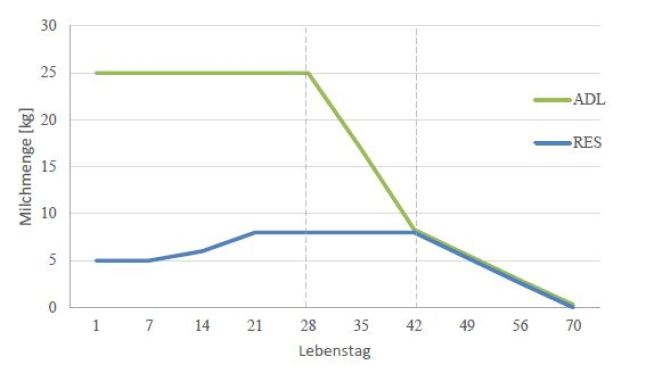 Tränkeplan in den einzelnen Phasen