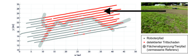 Ergebnis der Detektion von Trittschäden auf der Kuhweide