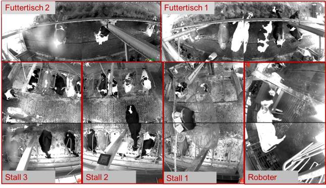 Es ist der Versuchsstall abgebildet, wie ihn die sechs Überwachungskameras aufzeichnen. Das Bild besteht somit aus sechs Einzelbildern für die jeweiligen Bereiche Futtertisch 1 und 2, Stall 1, 2 und 3 und Roboter, die von den einzelnen Kameras erfasst werden. 