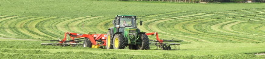 Traktor auf Feld