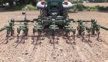 Mechanische Unkrautregulierung durch sensorgesteuertes Hacken