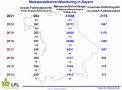 Maiswurzelbohrermonitoring Bayern 2021