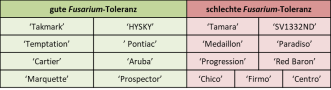 Tabelle mit toleranten und anfälligen Zwiebelsorten 