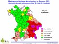 Maiswurzelbohrerfänge nach bayerischen Landkreisen