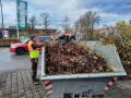 Ein schwarz-weißer Spürhund sucht auf einem Haufen Schnittgut in einem Container nach dem Asiatischen Laubholzbockkäfer. Neben ihm steht sein Herrchen in einer leuchtend gelb-orangenen Warnweste und leitet die Suche an. (Quelle: LfL)