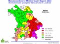 Maiswurzelbohrerfänge nach bayerischen Landkreisen