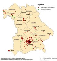 Fundorte Marmorierte Baumwanze Und Grüne Reiswanze