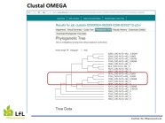 Phylogenetischer CBCVd-Stammbaum erstellt aus ausgewählten CBCVd-positiven Proben aus 2020
