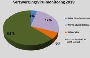 Verzwergungsvirusmonitoring 2019: Tortendiagramm mit den einzelnen Viren