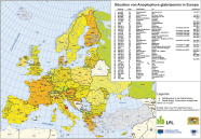 Eine Karte von Europa mit den Befallsgebieten des Asiatischen Laubholzbockkäfers.