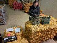 Eine Mitarbeiterin bei der phytosanitären Untersuchung von Exportkartoffeln durch Schäl- und Schnittkontrollen
