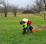 Geruchsprope von Japankärverlarven wird Spürhund präsentiert.