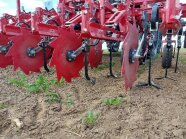 Hackmaschine mit Gänsefußscharen im Einsatz in Zuckerrüben