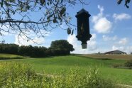 Pheromonfalle in Kirschbaum hängend mit Feldflur im Hintergrund