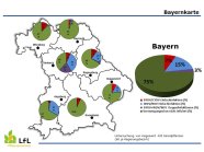 Befallshäufigkeiten mit Verzwergungsviren in den sieben Regierungsbezirken Bayerns