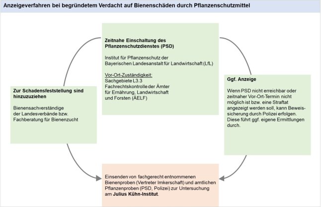 Vorgehen Bienenschäden Ips1a 11.06.2024 _mit Rand_
