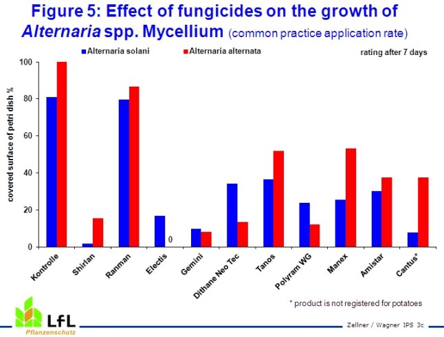 Effect of fungicides on the growth