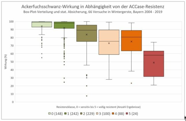 Herbizidwirkung gegen Ackerfuchsschwanz in Abhängigkeit von der ACCase-Resistenz 