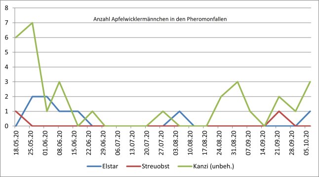 Diagramm der Anzahl von Apfelwicklermännchen in den Pheromonfallen