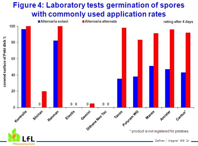 Laboratory tests germination of spores