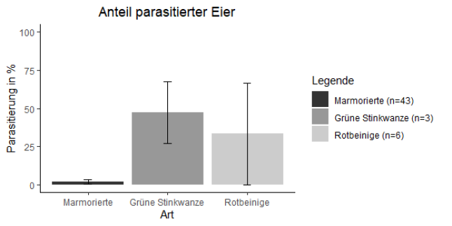 Übersicht über den Anteil parasitierter Eier der Marmorierten Baumwanze, Grünen Stinkwanze und der Rotbeinigen Baumwanze