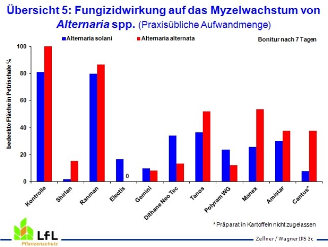 Fungizidwirkung auf das Myzelwachstum von Alternaria spp.