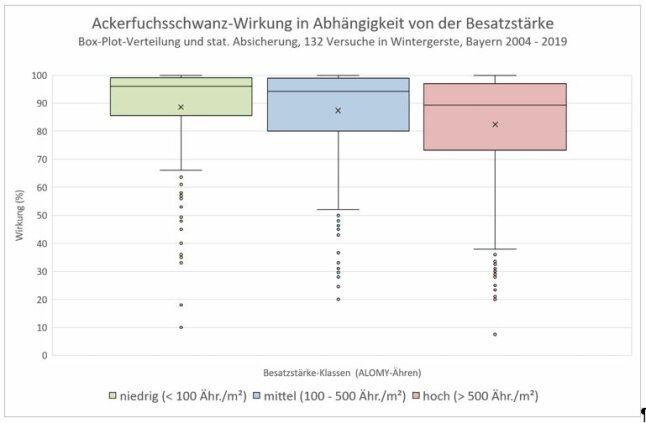 Herbizidwirkung gegen Ackerfuchsschwanz in Abhängigkeit von der Besatzstärke