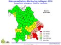 Fangzahlen vom westlichen Maiswurzelbohrer 2016 auf Landkreisebene