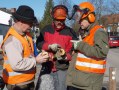 Drei Männer begutachten Holzstücke