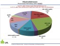 Überblick über Einfach- und Mehrfachinfektionen in den Monitoringproben des Jahres 2011