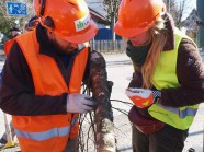 Zwei Mitarbeiter kontrollieren eine Holzprobe auf ALB-Befall
