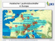 Europakarte mit den eingezeichneten ALB-Vorkommen