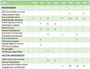 Tabelle