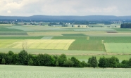 Feldlandschaft