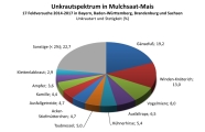 Tortendiagramm zum Unkrautspektrum in Mulch-Maissaat